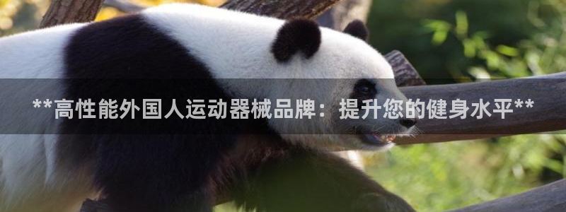 凯时官网手机版下载：**高性能外国人运动器械品牌：提
