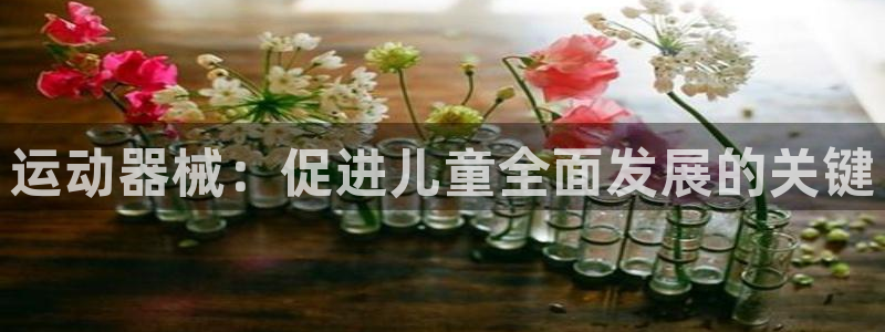 尊龙人生就是-首页：运动器械：促进儿童全面发展的关键