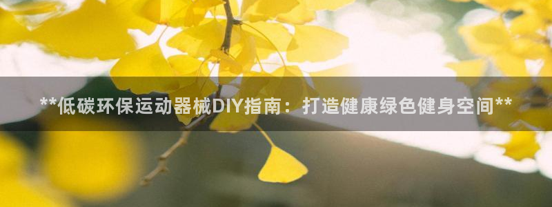 尊龙官网免费下载安装：**低碳环保运动器械DIY指南：打造健