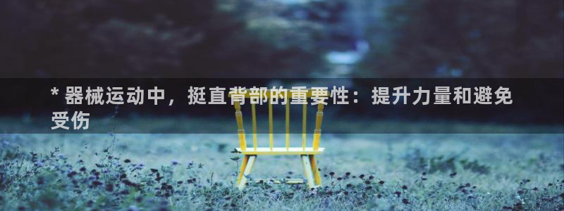 尊龙官方平台：* 器械运动中，挺直背部的重要性：提升力量和避