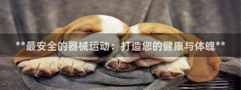 尊龙手机版下载：**最安全的器械运动：打造您的健康与