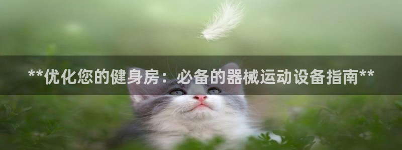 尊龙 中国：**优化您的健身房：必备的器械运动设备指