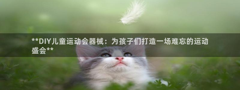 尊龙人生就是博首页入口：**DIY儿童运动会器械：为