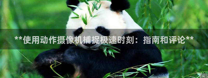 尊龙官网手机版下载：**使用动作摄像机捕捉极速时刻：