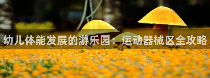尊龙官网在哪里：幼儿体能发展的游乐园：运动器械区全攻