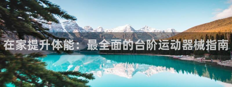 尊龙官网地址：在家提升体能：最全面的台阶运动器械指南