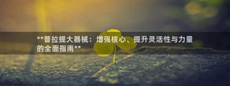 尊龙客服：**普拉提大器械：增强核心、提升灵活性与力