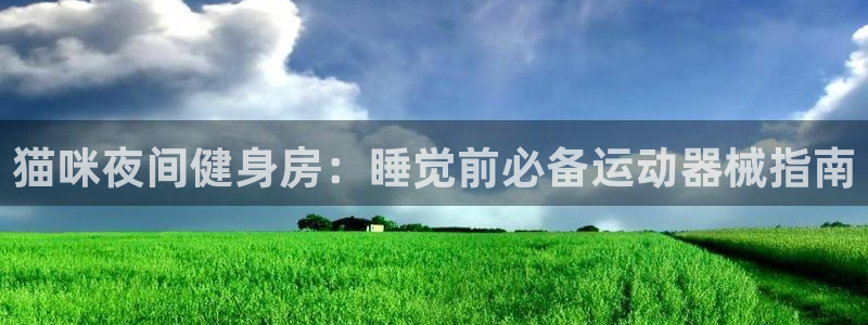 尊龙凯时网娱乐官网：猫咪夜间健身房：睡觉前必备运动器