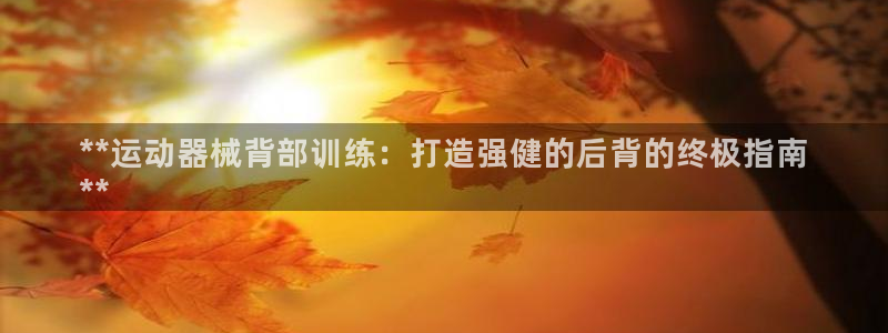 尊龙凯时是直营吗：**运动器械背部训练：打造强健的后