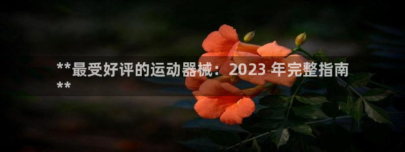 尊龙400：**最受好评的运动器械：2023 年完整