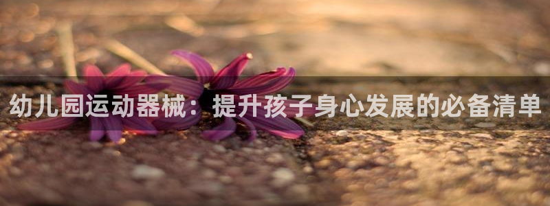 尊龙凯时出款：幼儿园运动器械：提升孩子身心发展的必备