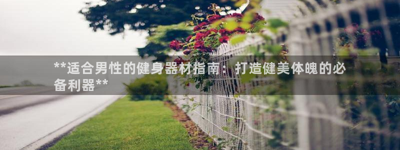 尊龙手机客户端下载APP：**适合男性的健身器材指南