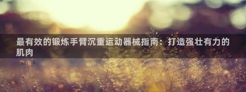 尊龙凯时登录：最有效的锻炼手臂沉重运动器械指南：打造