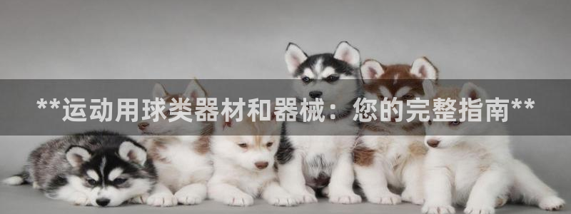 凯时尊龙官网网址：**运动用球类器材和器械：您的完整