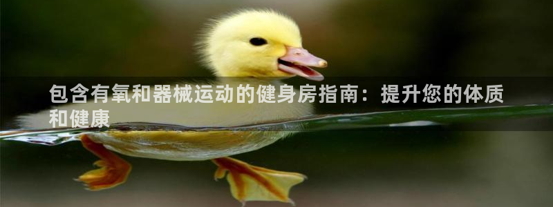 尊龙休闲e站怎么样：包含有氧和器械运动的健身房指南：