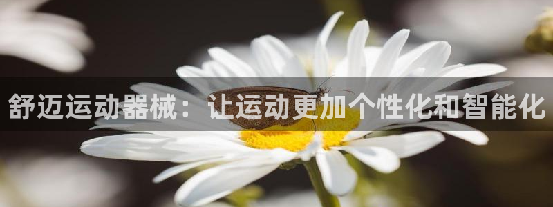 尊龙l1500