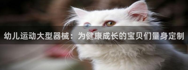 尊龙官方app下载