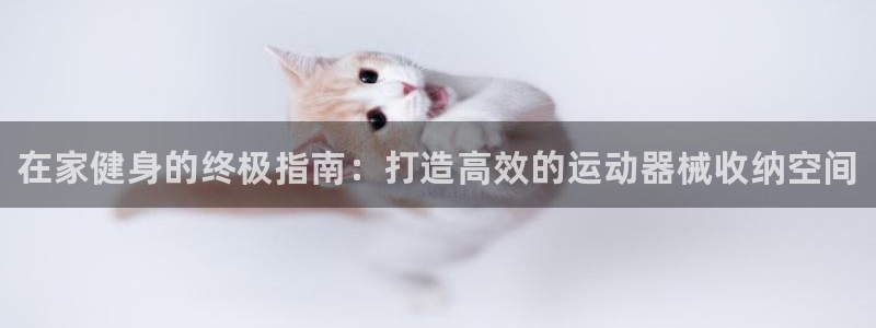 凯时k88最新：在家健身的终极指南：打造高效的运动器