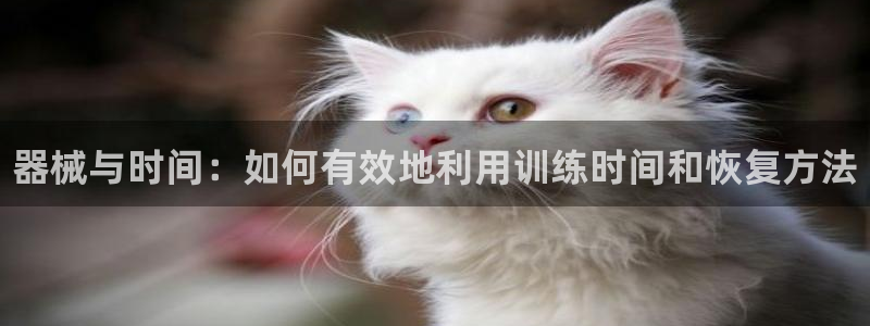 尊龙旗舰厅