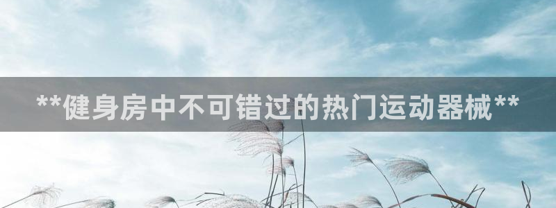 尊龙凯时logo：**健身房中不可错过的热门运动器械
