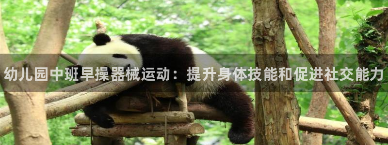 尊龙凯时人生就是博·(中国)官网最新：幼儿园中班早操