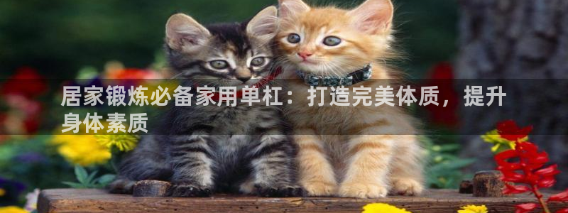 z6尊龙凯时旗舰厅：居家锻炼必备家用单杠：打造完美体质，提升