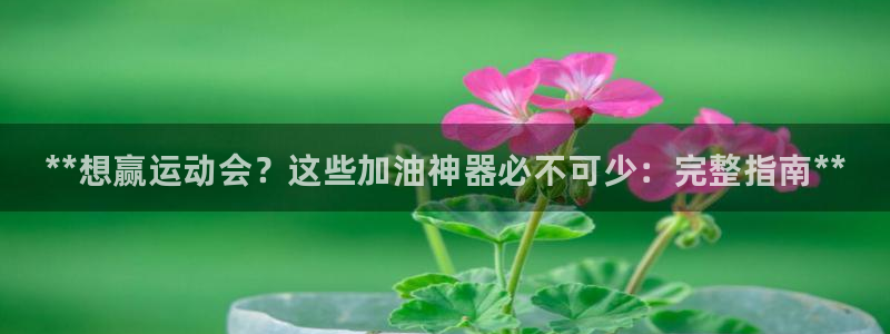 尊龙官方：**想赢运动会？这些加油神器必不可少：完整指南**