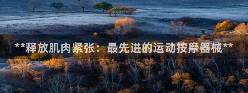 尊龙人生就是博D88：**释放肌肉紧张：最先进的运动按摩器械