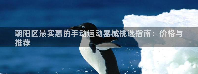 尊龙凯时有假么：朝阳区最实惠的手动运动器械挑选指南：价格与
