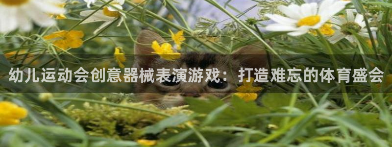 尊龙-人生就是博：幼儿运动会创意器械表演游戏：打造难忘的体育