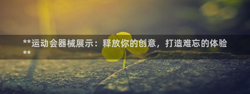 尊龙王t400：**运动会器械展示：释放你的创意，打