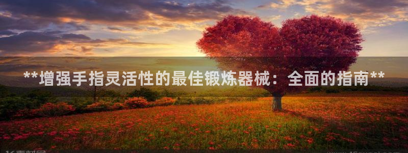 尊龙凯时的生产设备：**增强手指灵活性的最佳锻炼器械