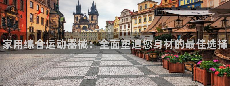 尊龙d88ag官方网站：家用综合运动器械：全面塑造您