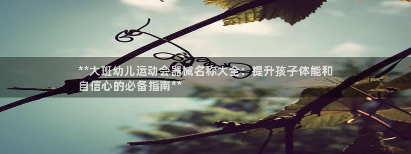 尊龙凯时平台信誉怎样：**大班幼儿运动会器械名称大全