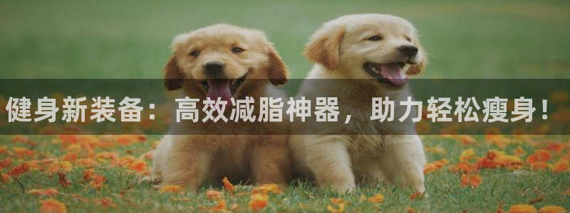 尊龙凯时泰安：健身新装备：高效减脂神器，助力轻松瘦身