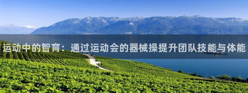 尊龙凯时取款不成功：运动中的智育：通过运动会的器械操