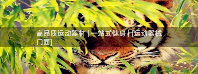 尊龙凯时：高品质运动器材 | 一站式健身 | [运动