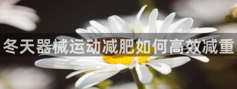 尊龙凯时取款有要求吗：冬天器械运动减肥如何高效减重