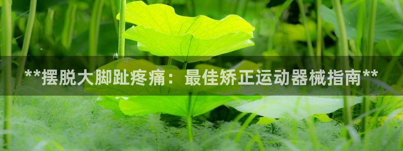 尊龙凯时登陆网址：**摆脱大脚趾疼痛：最佳矫正运动器