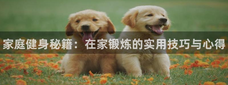 尊龙凯时电竞注册：家庭健身秘籍：在家锻炼的实用技巧与心得