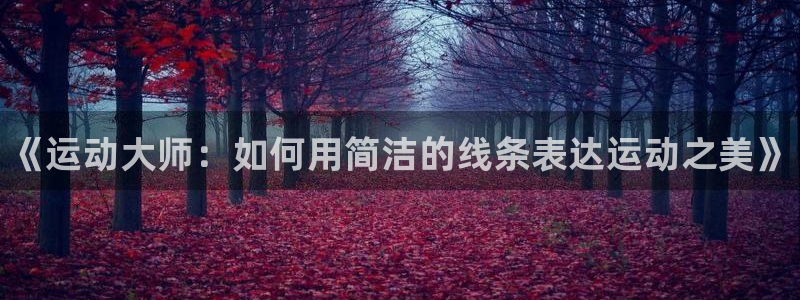 尊龙专访：《运动大师：如何用简洁的线条表达运动之美》