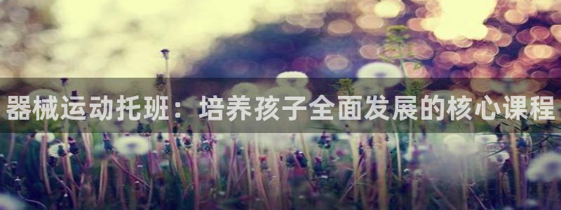 尊龙集团有限公司官网地址：器械运动托班：培养孩子全面