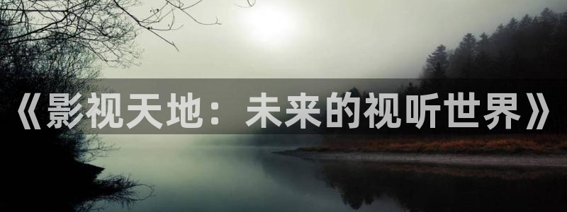 蜂鸟影院在线影院：《影视天地：未来的视听世界》