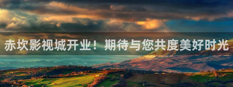 蜂鸟影院在线电影