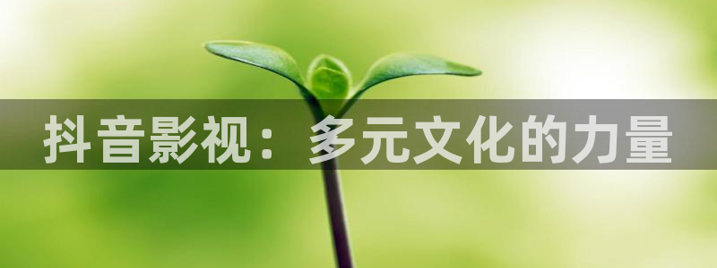 蜂鸟影院在线看