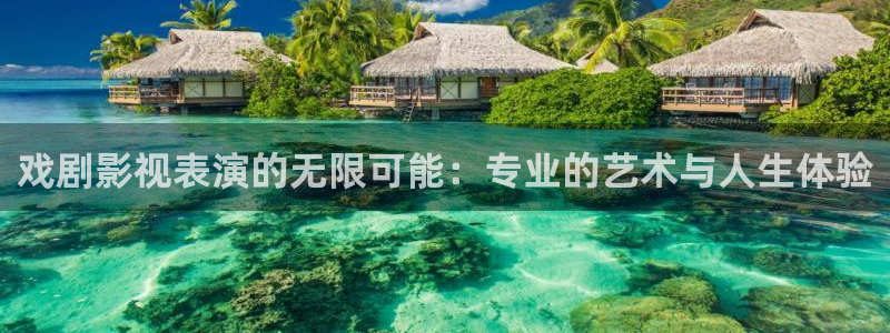 蜂鸟影院高清在线观看