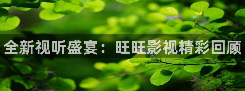 蜂鸟电影院在线播放