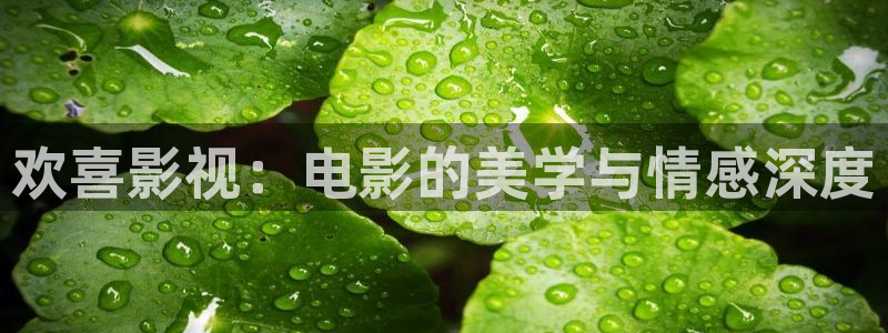 蜂鸟影院高清电影电视剧在线观看