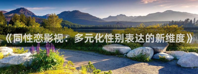 蜂鸟影院影视在线观看