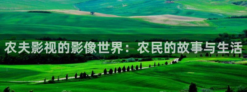 蜂鸟影院观看